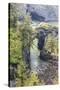 Natural Bridges Viewpoint, Oregon, USA. View of the Natural Bridges on the Oregon coast.-Emily Wilson-Stretched Canvas