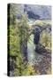 Natural Bridges Viewpoint, Oregon, USA. View of the Natural Bridges on the Oregon coast.-Emily Wilson-Stretched Canvas