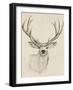 Natural Buck I-Annie Warren-Framed Art Print