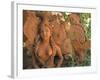 Natural Clay Mermaid and Fish Design, Oaxaca, Mexico-Judith Haden-Framed Photographic Print