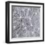 Natural Designs I-Assaf Frank-Framed Giclee Print