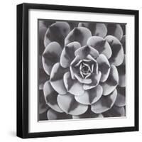 Natural Designs III-Assaf Frank-Framed Giclee Print