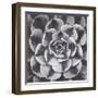 Natural Designs III-Assaf Frank-Framed Giclee Print