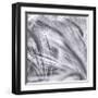 Natural Designs IV-Assaf Frank-Framed Giclee Print