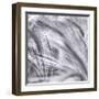 Natural Designs IV-Assaf Frank-Framed Giclee Print