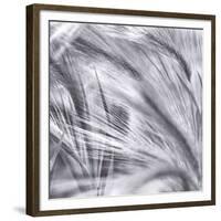 Natural Designs IV-Assaf Frank-Framed Giclee Print