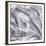 Natural Designs IV-Assaf Frank-Framed Giclee Print