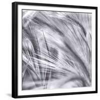 Natural Designs IV-Assaf Frank-Framed Giclee Print