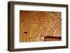 Natural Details of Sun Dried Wood-Bartkowski-Framed Photographic Print