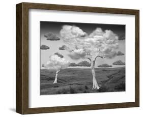 Natural Disorder-Thomas Barbey-Framed Giclee Print