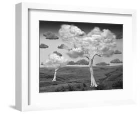 Natural Disorder-Thomas Barbey-Framed Giclee Print