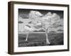 Natural Disorder-Thomas Barbey-Framed Giclee Print