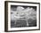 Natural Disorder-Thomas Barbey-Framed Giclee Print