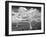 Natural Disorder-Thomas Barbey-Framed Giclee Print