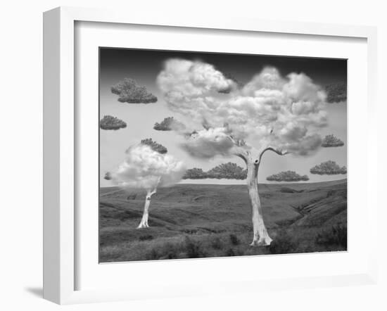 Natural Disorder-Thomas Barbey-Framed Giclee Print