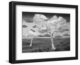 Natural Disorder-Thomas Barbey-Framed Premium Giclee Print