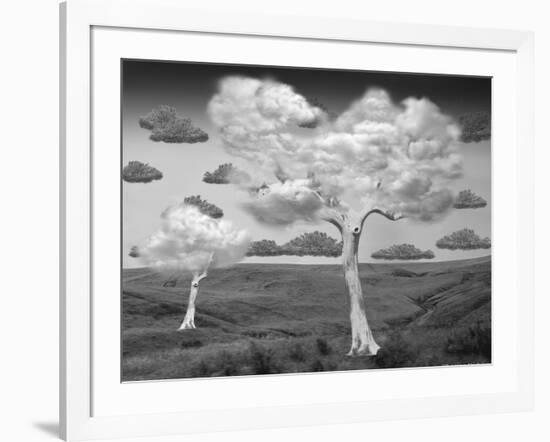 Natural Disorder-Thomas Barbey-Framed Giclee Print