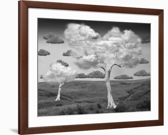 Natural Disorder-Thomas Barbey-Framed Giclee Print