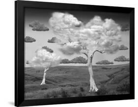 Natural Disorder-Thomas Barbey-Framed Giclee Print