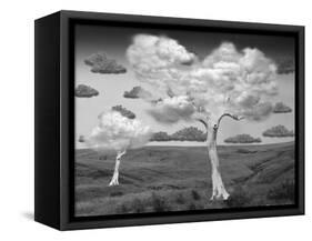 Natural Disorder-Thomas Barbey-Framed Stretched Canvas