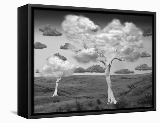 Natural Disorder-Thomas Barbey-Framed Stretched Canvas