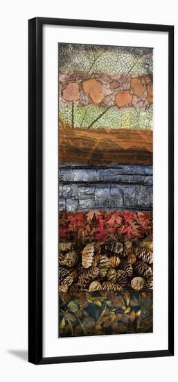 Natural Elements 1-Don Paulson-Framed Giclee Print