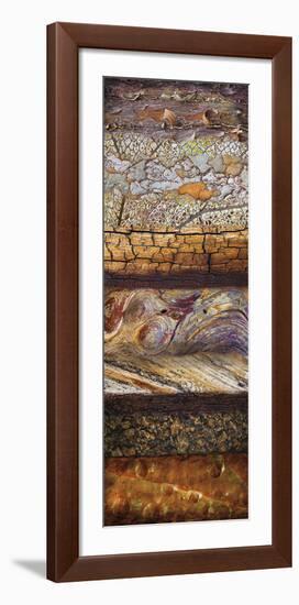 Natural Elements 2-Don Paulson-Framed Giclee Print