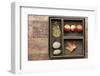 Natural Elements, Collection in the Letter Case-Andrea Haase-Framed Photographic Print