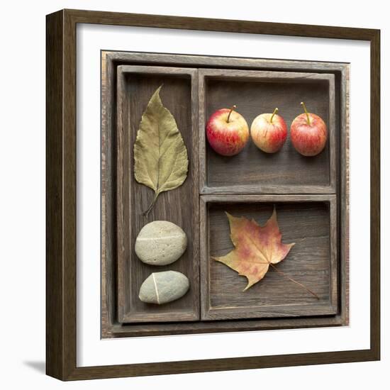 Natural Elements Collection in Type Case-Andrea Haase-Framed Photographic Print