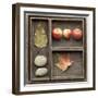 Natural Elements Collection in Type Case-Andrea Haase-Framed Photographic Print