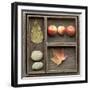 Natural Elements Collection in Type Case-Andrea Haase-Framed Photographic Print