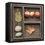 Natural Elements Collection in Type Case-Andrea Haase-Framed Stretched Canvas