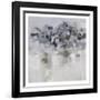 Natural Elevation 3-Smith Haynes-Framed Art Print