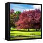 Natural Floral Landscape - Hertfordshire - UK - England - United Kingdom - Europe-Philippe Hugonnard-Framed Stretched Canvas