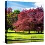 Natural Floral Landscape - Hertfordshire - UK - England - United Kingdom - Europe-Philippe Hugonnard-Stretched Canvas