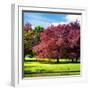 Natural Floral Landscape - Hertfordshire - UK - England - United Kingdom - Europe-Philippe Hugonnard-Framed Photographic Print