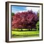 Natural Floral Landscape - Hertfordshire - UK - England - United Kingdom - Europe-Philippe Hugonnard-Framed Photographic Print