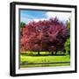 Natural Floral Landscape - Hertfordshire - UK - England - United Kingdom - Europe-Philippe Hugonnard-Framed Photographic Print