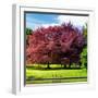 Natural Floral Landscape - Hertfordshire - UK - England - United Kingdom - Europe-Philippe Hugonnard-Framed Photographic Print