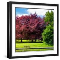 Natural Floral Landscape - Hertfordshire - UK - England - United Kingdom - Europe-Philippe Hugonnard-Framed Photographic Print