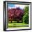 Natural Floral Landscape - Hertfordshire - UK - England - United Kingdom - Europe-Philippe Hugonnard-Framed Photographic Print