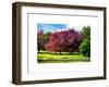 Natural Floral Landscape - Hertfordshire - UK - England - United Kingdom - Europe-Philippe Hugonnard-Framed Art Print