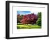 Natural Floral Landscape - Hertfordshire - UK - England - United Kingdom - Europe-Philippe Hugonnard-Framed Art Print