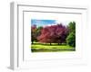 Natural Floral Landscape - Hertfordshire - UK - England - United Kingdom - Europe-Philippe Hugonnard-Framed Art Print