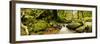 Natural forest of Magoebaskloof, Tzaneen, Limpopo Province, South Africa-null-Framed Photographic Print