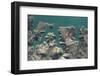 Natural Form, Landscape, Aerial View, Zahara, Lake, Shore, Fjord, Andalusia, Summer, Vacation-Frank Fleischmann-Framed Photographic Print