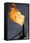 Natural Gas Flare-null-Framed Stretched Canvas