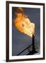 Natural Gas Flare-null-Framed Premium Photographic Print