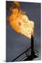 Natural Gas Flare-null-Mounted Premium Photographic Print