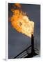 Natural Gas Flare-null-Framed Premium Photographic Print